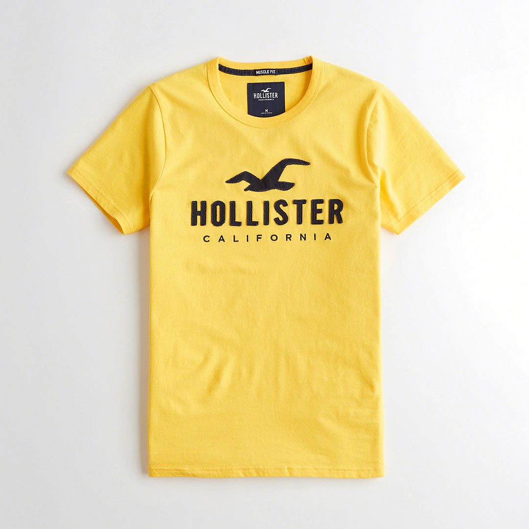 hollister basic t shirt Online shopping 