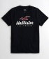 Hollister Cotton Short Sleeve T-Shirt  - Black