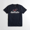Hollister Cotton Short Sleeve T-Shirt  - Navy Blue