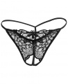 SIZE Envy Sexy Lingerie Lace Panties Uniform Temptation Transparent Open Thong - Black